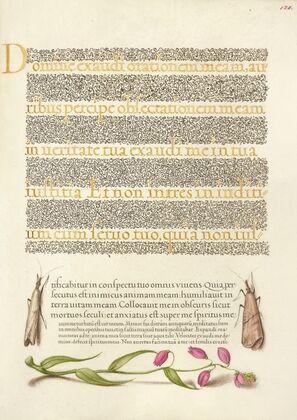 Grass Moths and Milkwort (1561–1596)