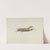 Grasshopper Weather Vane by Joseph Goldberg