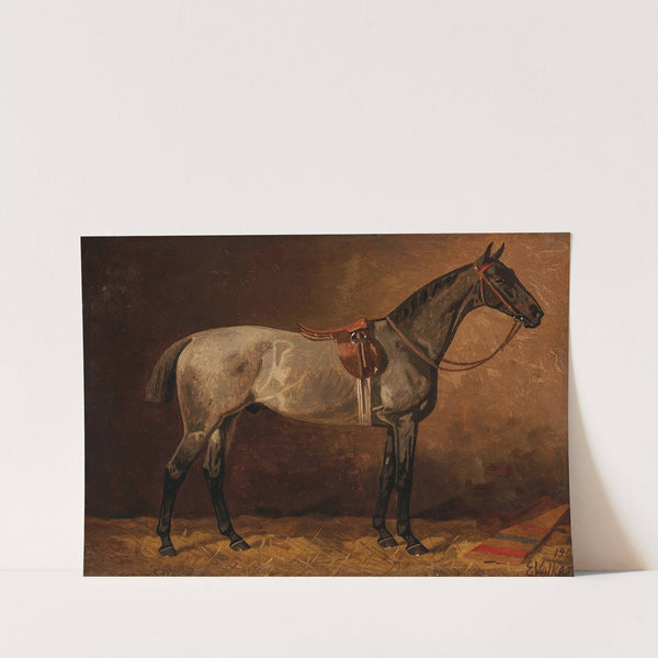 Grauer Schimmel im Stall (1909) by Emil Volkers