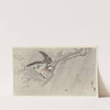 Gray starling in storm (1900 - 1910) by Ohara Koson