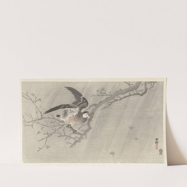Gray starling in storm (1900 - 1910) by Ohara Koson