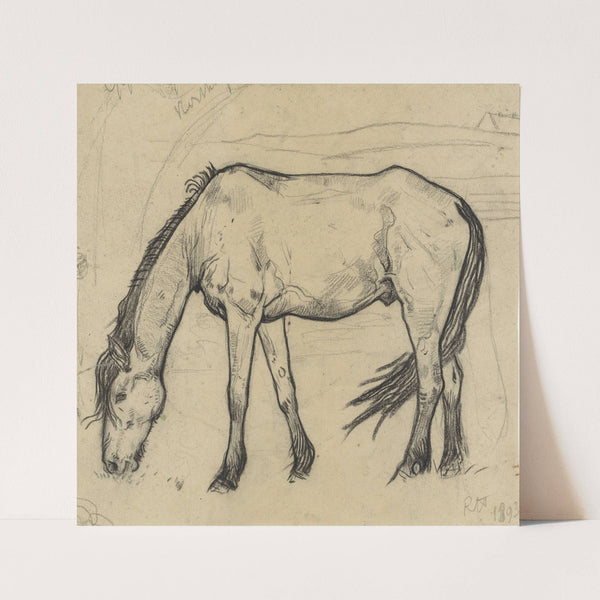 Grazend paard te Noordwijk (1893) by Richard Nicolaüs Roland Holst