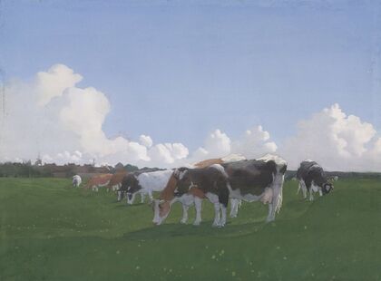 Grazende koeien in een weiland