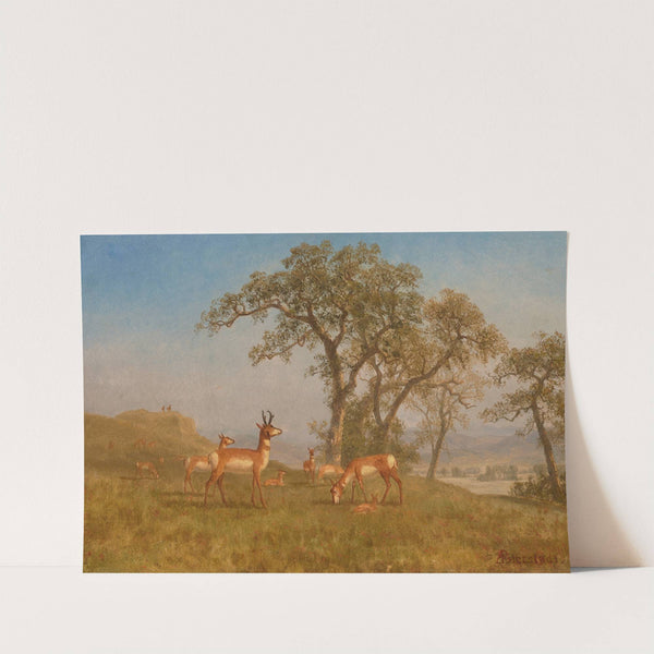 Grazing Antelope (circa 1863) by Albert Bierstadt