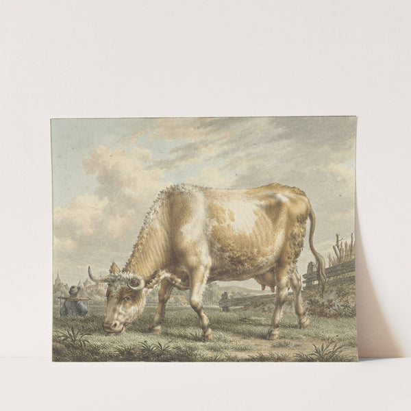 Grazing Cow by Jacob Cats