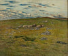 Grazing Sheep