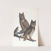 Great horned-owl by John James Audubon