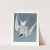 Great tern by John James Audubon