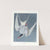 Great tern by John James Audubon