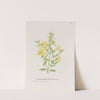Great yellow gerardia by S. Fred Prince