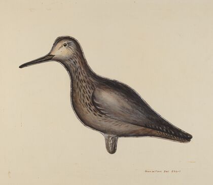 Greater Yellow Leg Decoy
