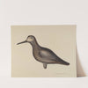 Greater Yellow Leg Decoy by Samuel W. Ford