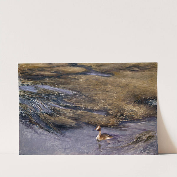 Grebe (1907) by Bruno Liljefors