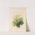 Green by Mary Gartside