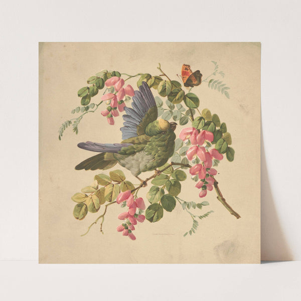 Green parrot and acacia (1882) by Louis Prang & Co.