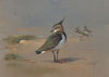 Green Plovers (1931)