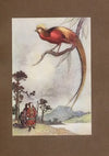 Green Willow and other Japanese fairy tales Pl.19