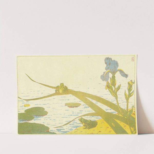 Grenouilles by Charles-Louis Houdard