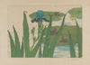 Grenouilles, iris et nénuphars (1898)