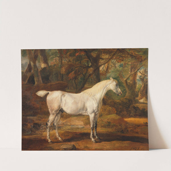 Grey Arabian stallion, the property of Sir Watkin Williams-Wynn (ca. 1817) by James Ward