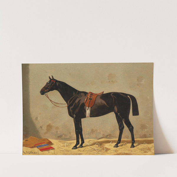 Grey in the Stable by Emil Volkers