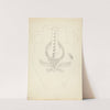 Grey Stoneware Water Jug by American 20th Century