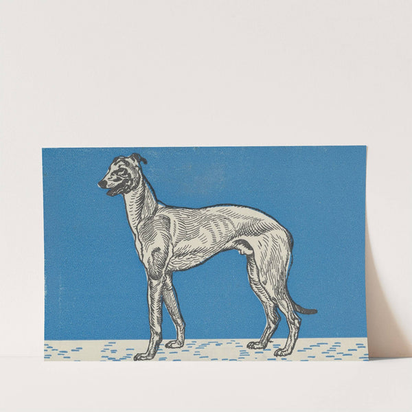 Greyhound by Moriz Jung