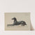Greyhound by John B. Moll