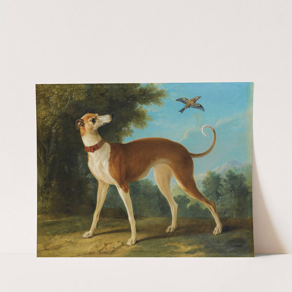 Greyhound In A Landscape by Jean-Baptiste Oudry