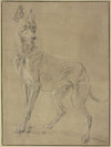 Greyhound to the left
