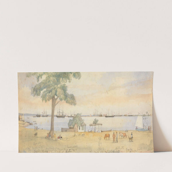 Greytown by Godfrey Thomas Vigne