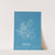 Griffithsia multifida by Anna Atkins