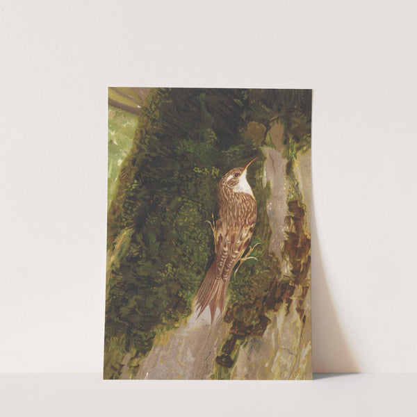 Grimpereau by Léo-Paul Robert