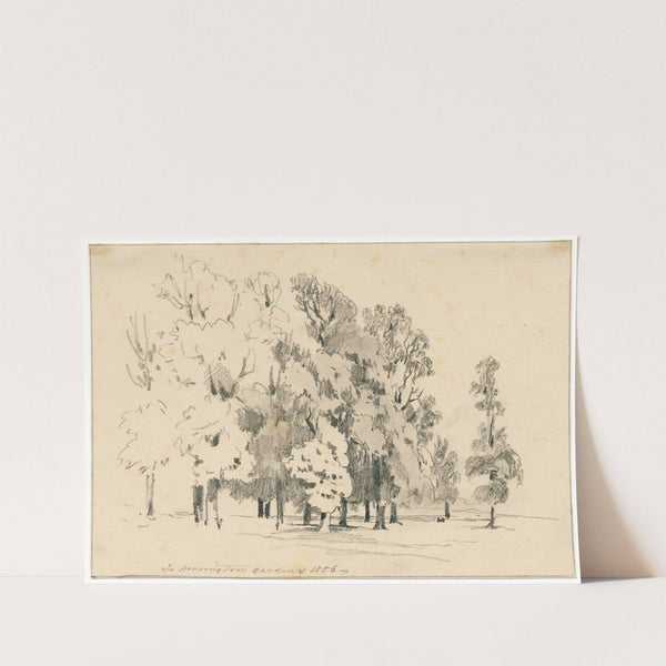 Groepje bomen in Kensington Gardens by Pieter van Loon