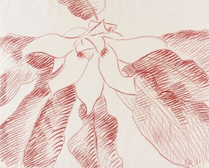Große Magnolie (1931)