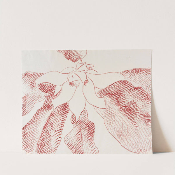 Große Magnolie (1931) by Christian Rohlfs