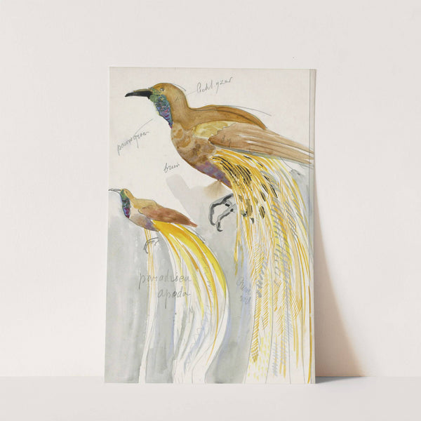 Grote paradijsvogel (1928) by Carel Adolph Lion Cachet