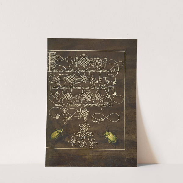 Ground Beetle and Scarab (1561–1596) by Joris Hoefnagel