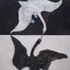 Group IX-SUW, The Swan, No. 1