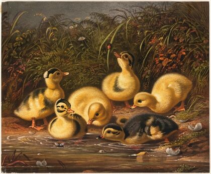 Group of Ducklings (ca. 1861–1897)