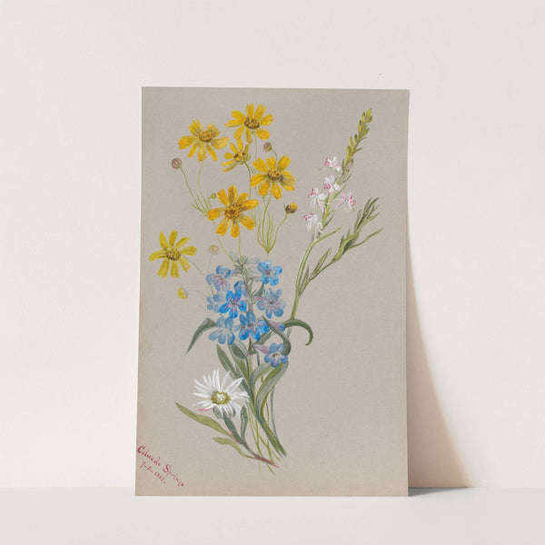 Group of Flowers (1883) by Mary Vaux Walcott