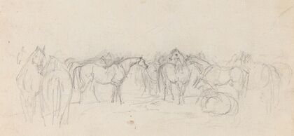 Group of horses