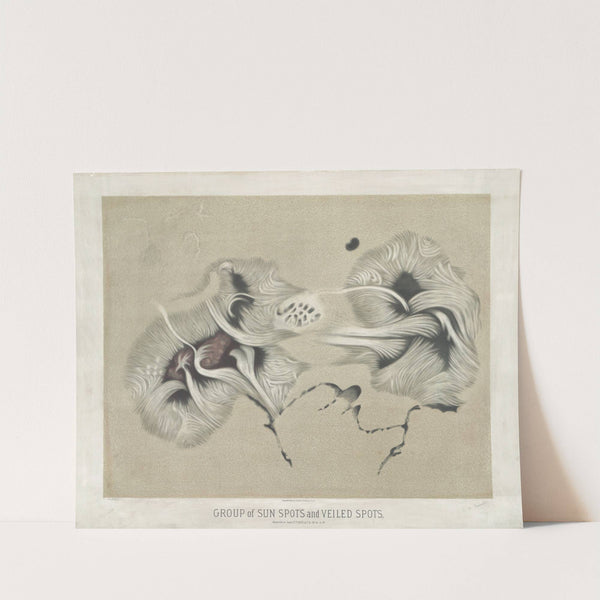 Group of sun spots and veiled spots by Étienne Léopold Trouvelot