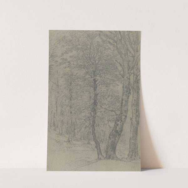 Group of trees 2 by Jakob Maurer