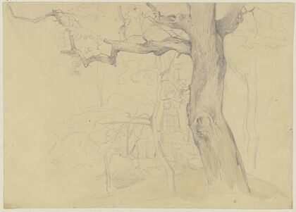 Group of trees