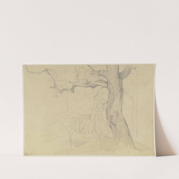 Group of trees by Jakob Becker