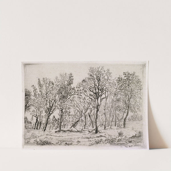 Group of Trees (1888) by James Ensor