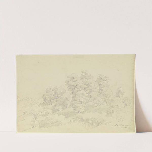 Group of trees near Olevano by August Lucas