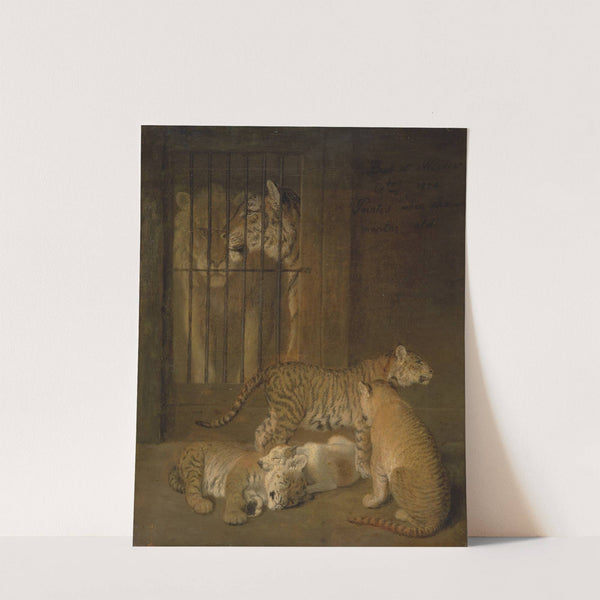 Group of Whelps Bred between a Lion and a Tigress by Jacques-Laurent Agasse