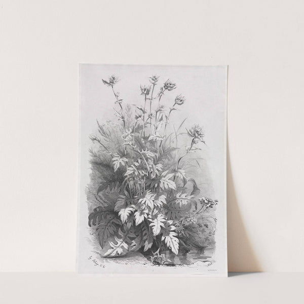 Groups of Various Plants Drawn After Nature; No. 7 (1848) by Eugene Blery